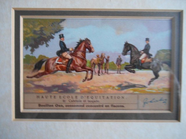 Image 2 of Equestrian Cards Set Liebig 1938 Haute Ecole Framed
