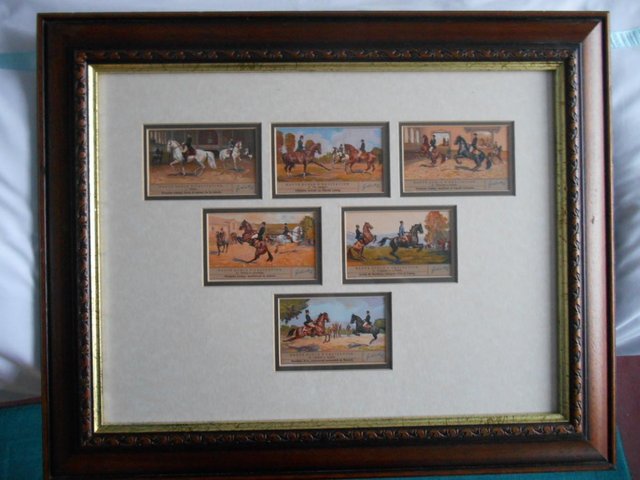 Preview of the first image of Equestrian Cards Set Liebig 1938 Haute Ecole Framed.