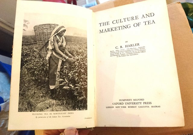 Preview of the first image of The Culture And Marketing Of Tea.