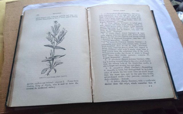 Image 9 of Flowers Of The Field - Rev. C. A. Johns