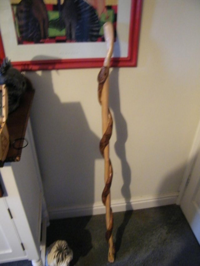 Image 3 of HAND CARVED SNAKE WALKING STICK WITH WOOD CASE