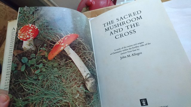 Image 4 of The Sacred Mushroom And The Cross