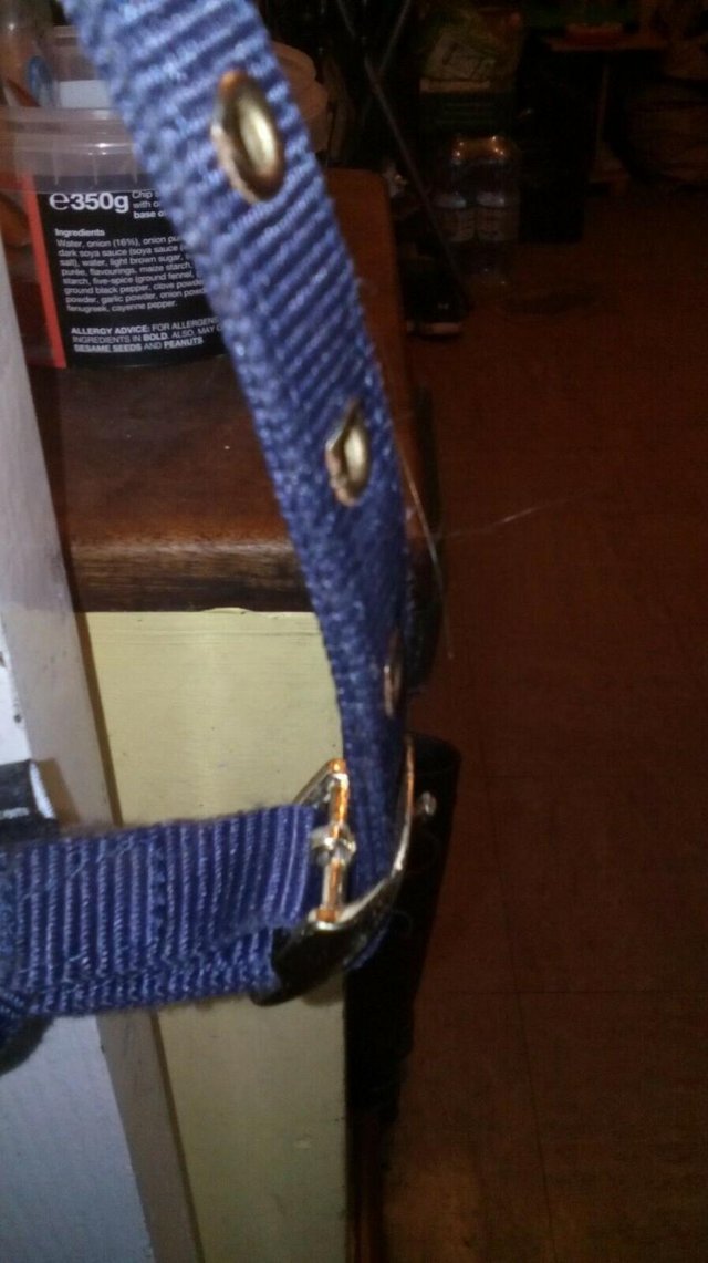 Image 3 of Brand New Shires Navy Foal Headcollar