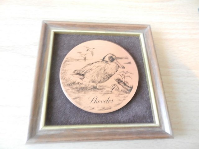 Preview of the first image of Mini Picture Frame - Shoveler Duck by Lewis and Clayton.