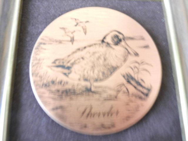 Image 3 of Mini Picture Frame - Shoveler Duck by Lewis and Clayton