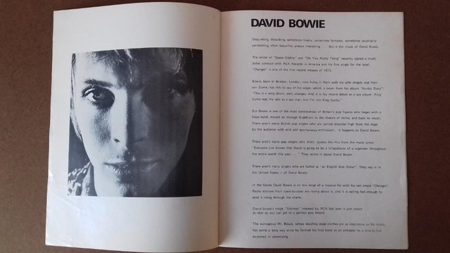 Preview of the first image of 1976 David Bowie Unofficial UK Tour Programme..