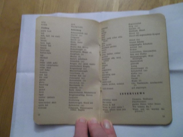 Image 2 of Canadian Army issue Nazi Party Glossary & phrase book 1944