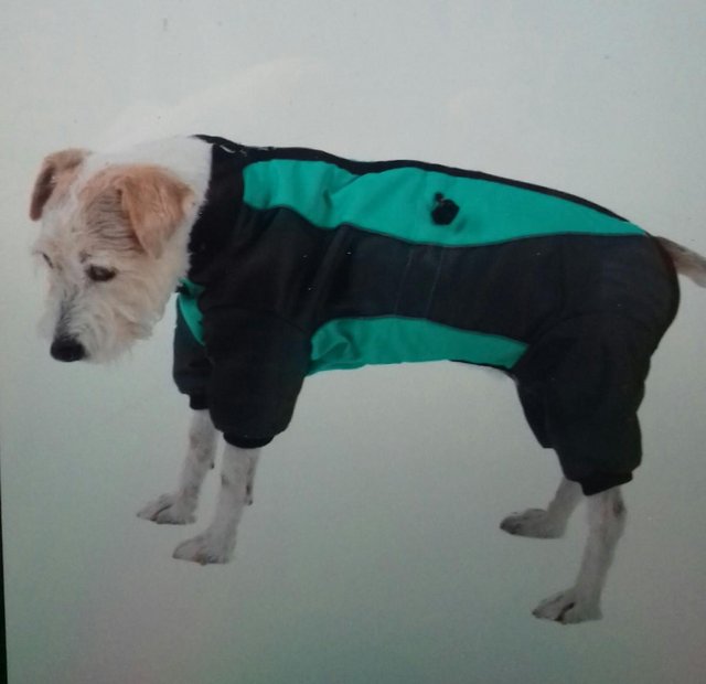 Image 2 of Dog waterproof overalls - 2 sizes available - brand new
