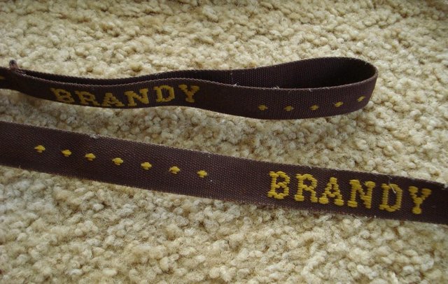Image 2 of DOG LEAD BROWN EMBROIDERED WITH “BRANDY” 123 cm approx.