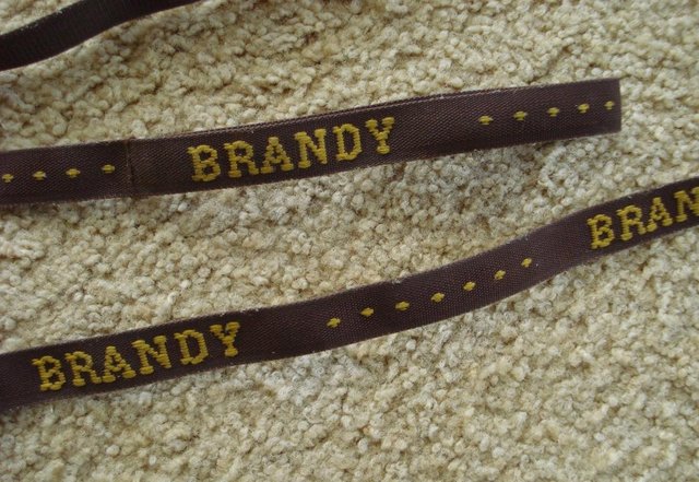 Image 3 of DOG LEAD BROWN EMBROIDERED WITH “BRANDY” 123 cm approx.