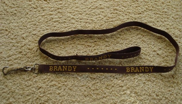 Preview of the first image of DOG LEAD BROWN EMBROIDERED WITH “BRANDY” 123 cm approx..