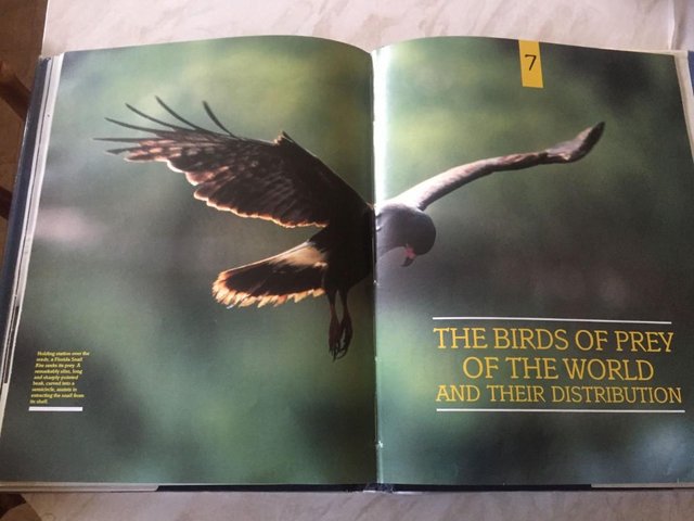 Image 3 of BIRDS OF PREY OF THE WORLD BOOK
