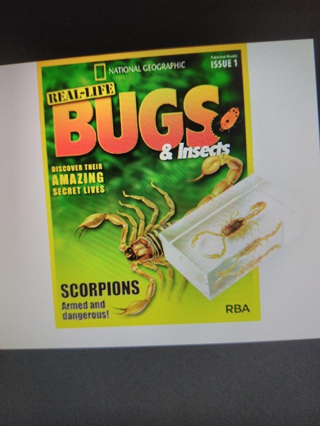 Preview of the first image of Bugs and Insects Weekly Magazines FULL 100 Issues..