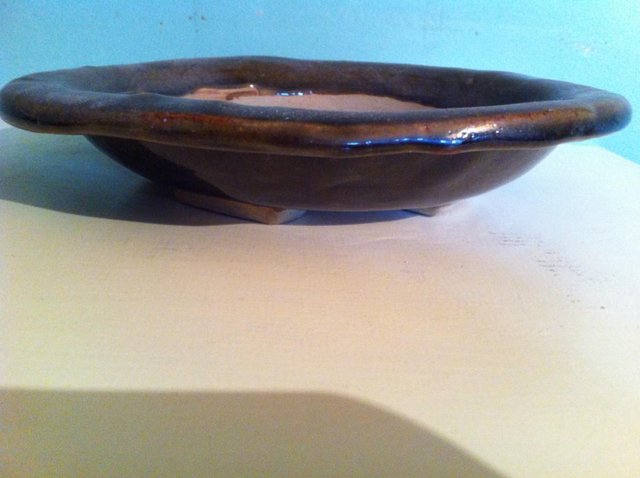 Preview of the first image of Round dark brown glaze Bonsai dish (14).