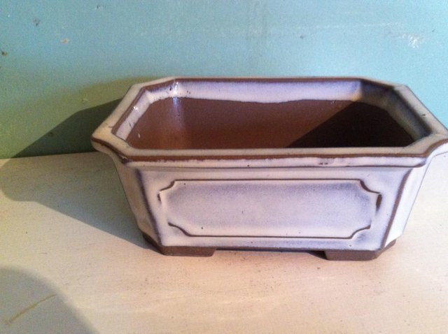 Preview of the first image of White rectangular bonsai pot (60).