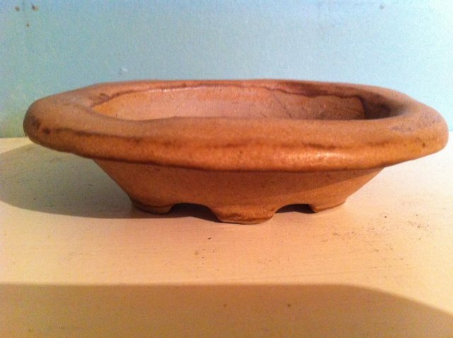 Preview of the first image of Oval frostproof stonewear Bonsai dish (51).