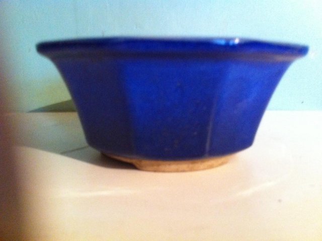 Preview of the first image of Decagonal bonsai bowl(68).