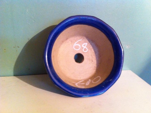 Image 2 of Decagonal bonsai bowl(68)