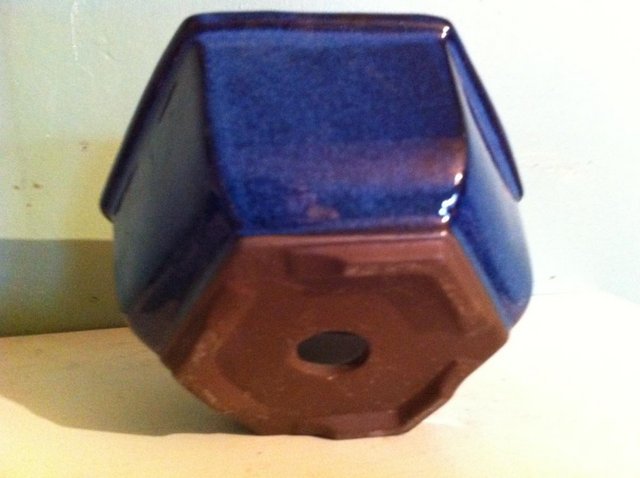 Image 2 of Hexagonal bonsai pot (53)