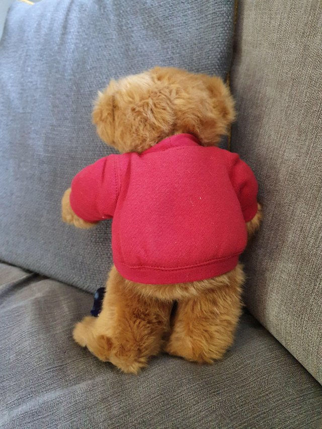 Preview of the first image of BURBERRYS TEDDY BEAR.