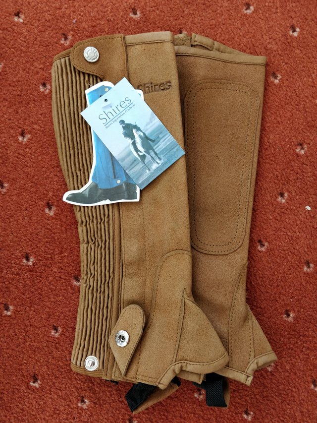 Preview of the first image of Shires Amara washable suede children's half chaps.