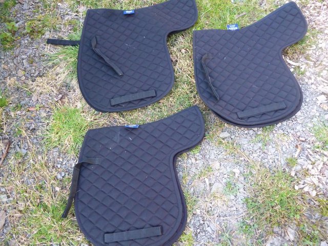 Preview of the first image of Pony Cob or Full size new black Cotton quilted numnahs.
