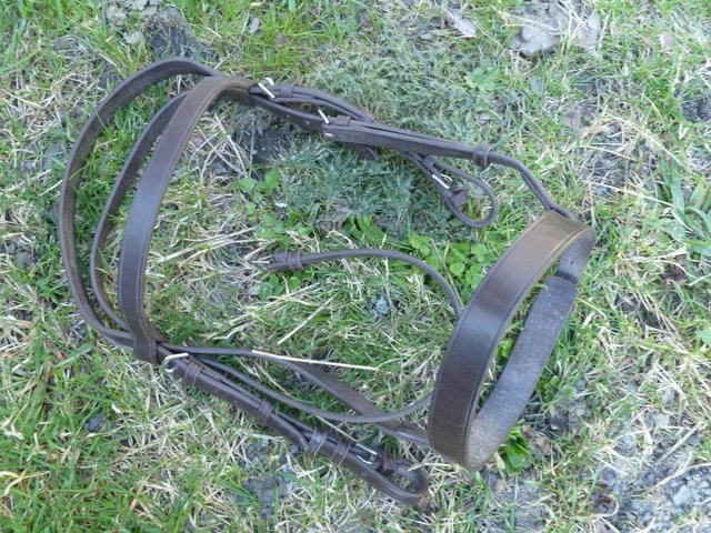 Preview of the first image of New Shires Brown Hunter Bridles Pony or Full size.