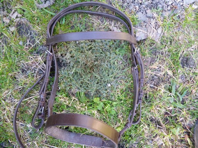 Image 3 of New Shires Brown Hunter Bridles Pony or Full size