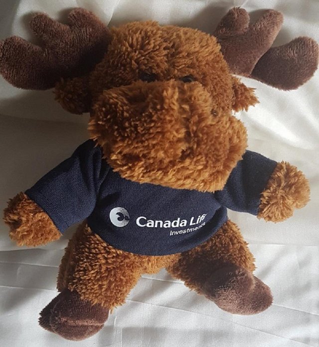 Preview of the first image of Canada Life promotional soft toy moose.