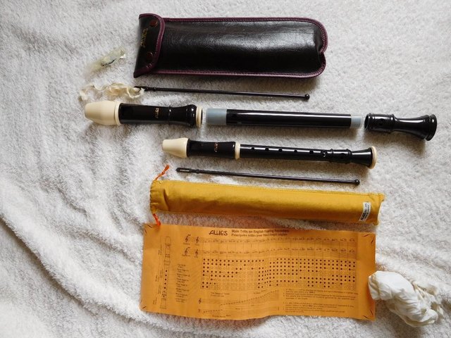 Image 2 of Vintage Recorders - Aulos Descant and Treble