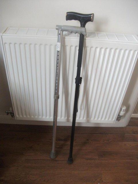 Preview of the first image of WALKING STICKS (both been used).