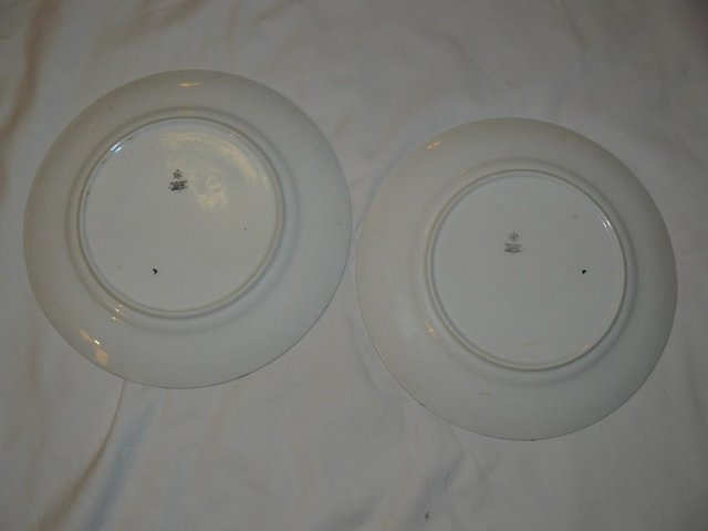 Image 2 of 2 Paragon Star china plates: Birds & flowers Pattern 6072