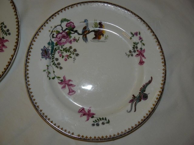 Image 3 of 2 Paragon Star china plates: Birds & flowers Pattern 6072