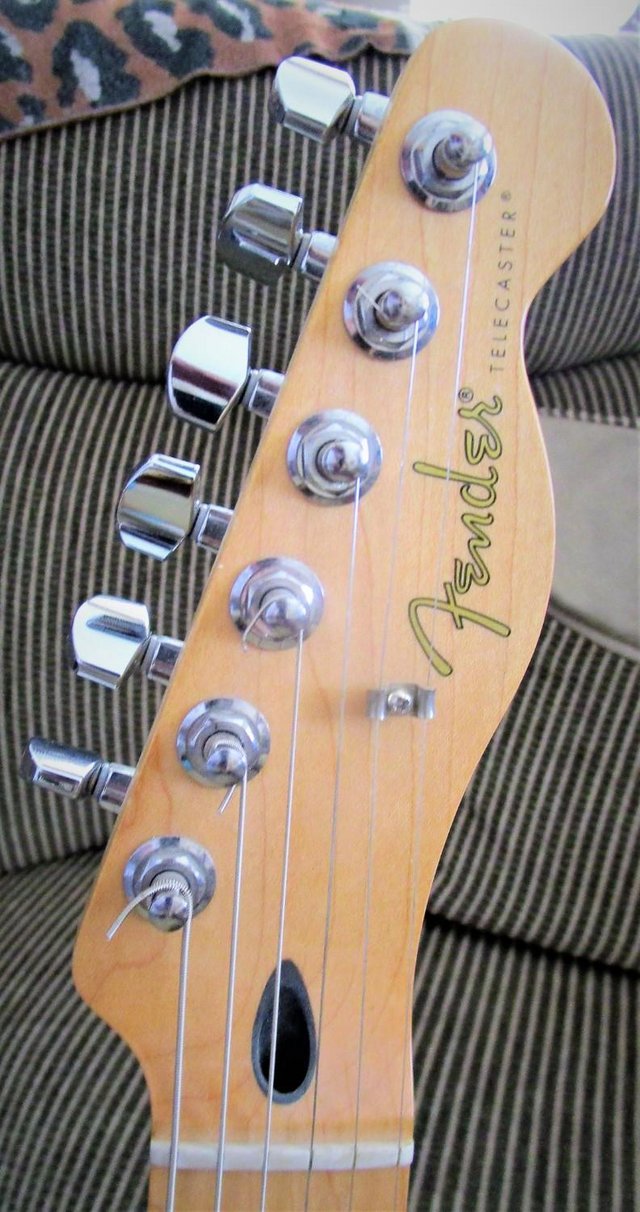 Image 5 of FENDER Telecaster. Made in Mexico.Black