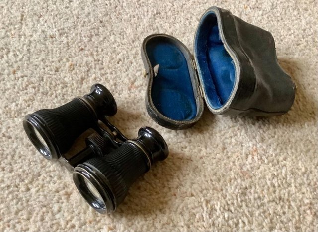 Preview of the first image of Old Opera / Field glasses with case.