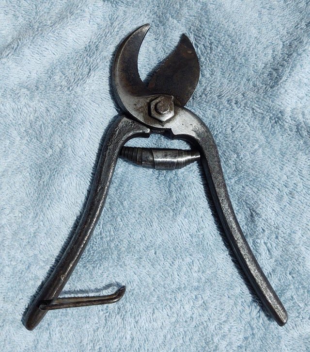 Preview of the first image of Antique/Vintage Parrots Beak Secateurs/Cutters/Pruners.