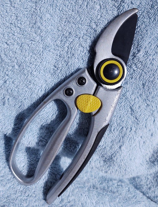 Preview of the first image of Garden Secateurs/Cutters/Pruners.