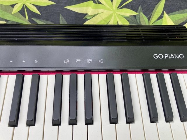 Image 8 of ROLAND GO: PIANO KEYBOARD & Stand