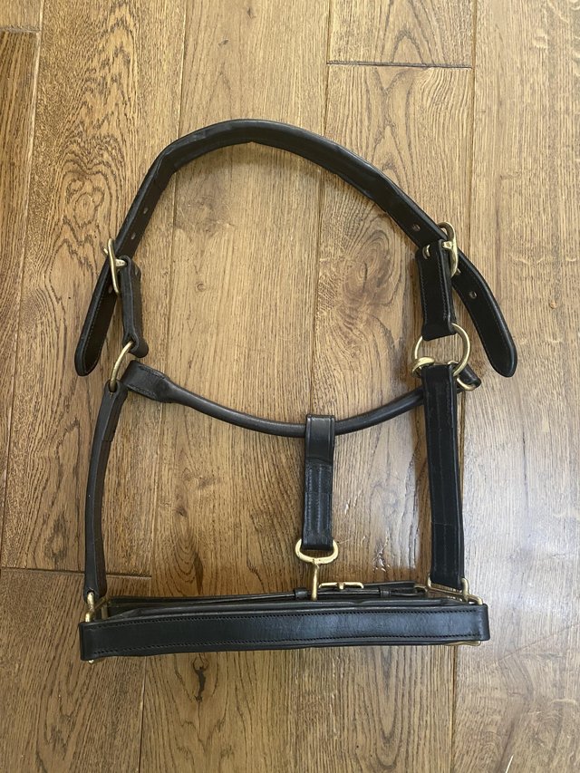 Preview of the first image of Brand new Mark Todd black leather padded headcollar size cob.