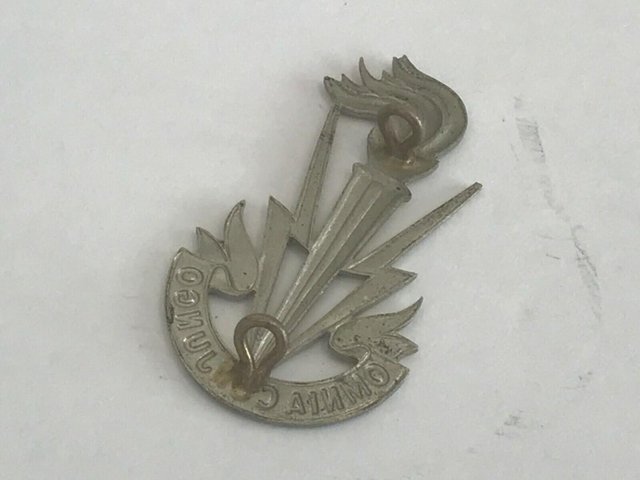 Image 2 of Special forces officers Belgium military cap badge