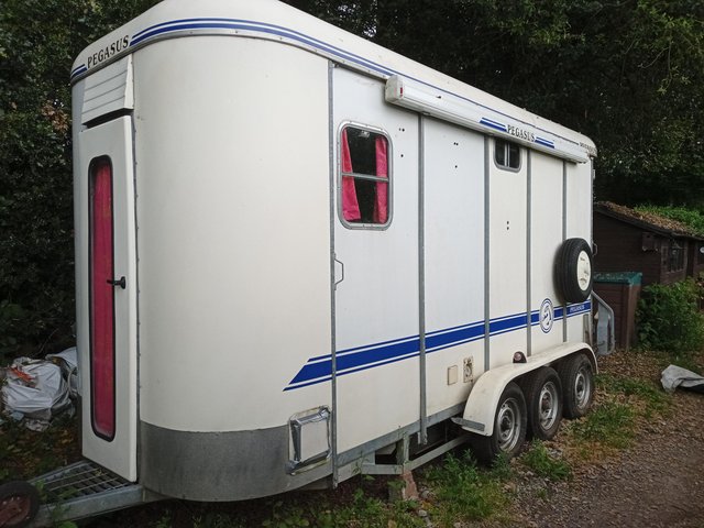 Image 3 of Pegasus double horse trailer with luxury living area.
