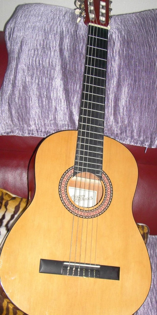 Preview of the first image of JHOHNNY BROOK ACOUSTIC GUITAR WITH GIG BAG.