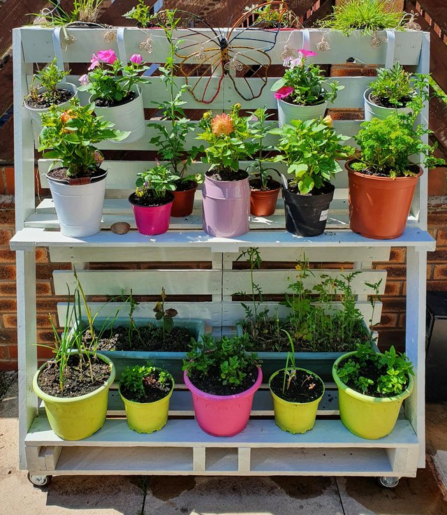 Image 2 of Flower plant stand