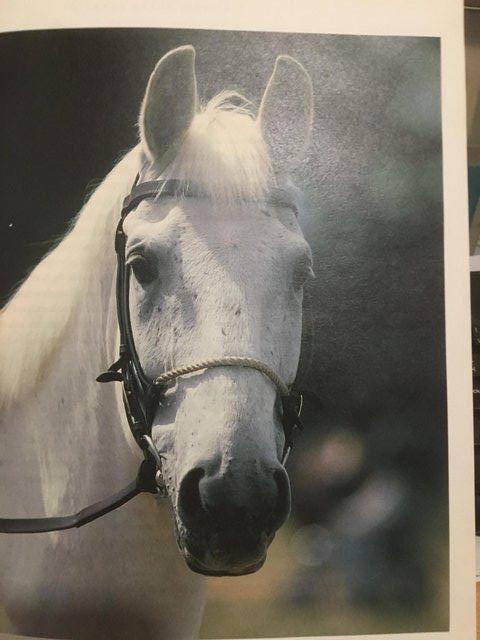 Image 5 of Beautiful Book About Milton Super Champion