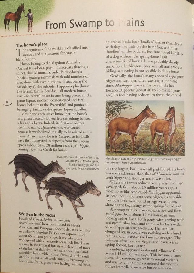 Image 3 of How Your Horse Works by Susan Mc Bane would suite a student