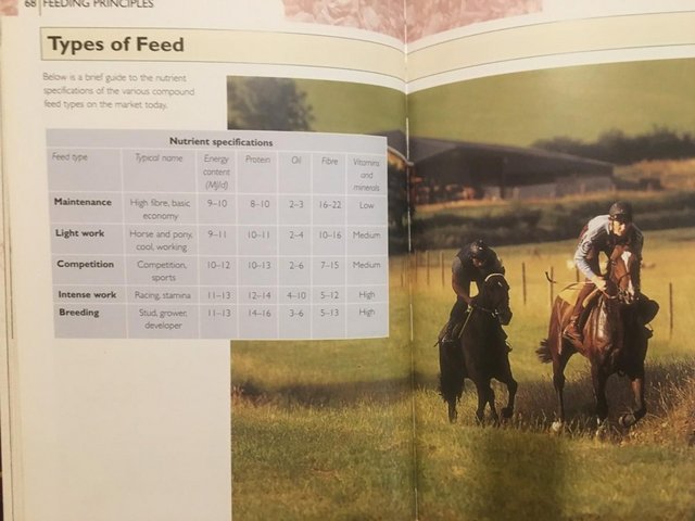 Image 10 of The Horse's Nutrition Bible would help a student
