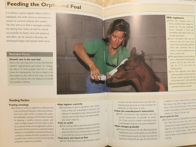 Image 12 of The Horse's Nutrition Bible would help a student