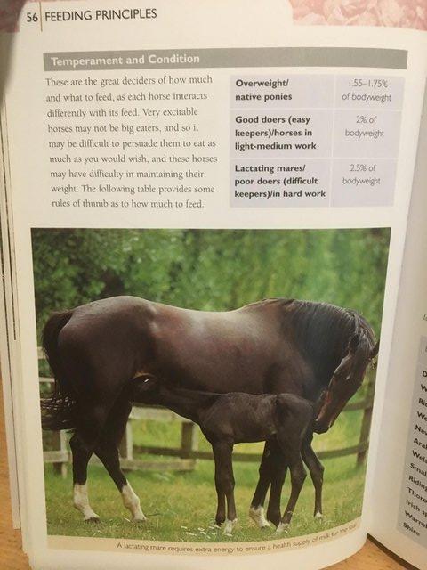 Image 7 of The Horse's Nutrition Bible would help a student