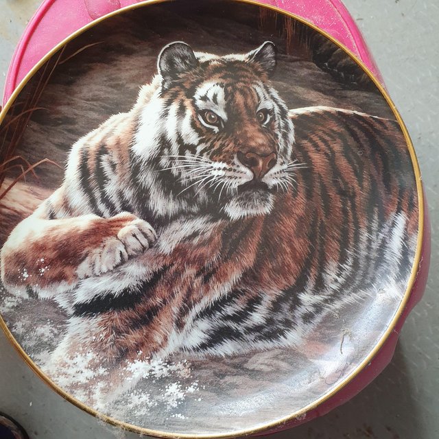 Image 2 of Lovely Limited Edition Tiger Plate