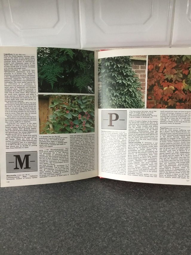 Image 2 of Practical Guide to Shrubs & Climbing plants (New)